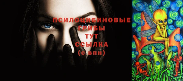 соль курить ск Няндома