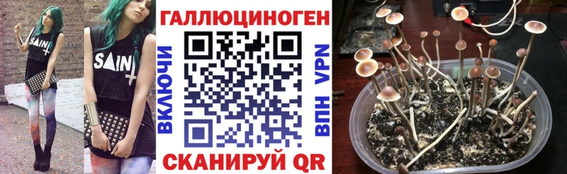 Галлюциногенные грибы Magic Shrooms  Сосновка 